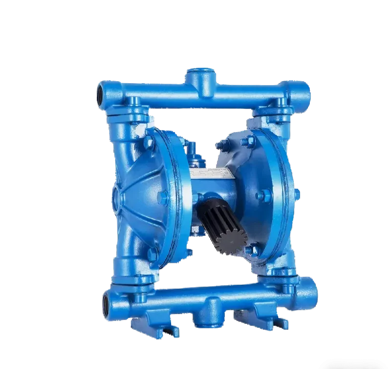 Hygienic Sanitary PTFE Lined Electric Double Piston Diaphragm PUMP — 6/6