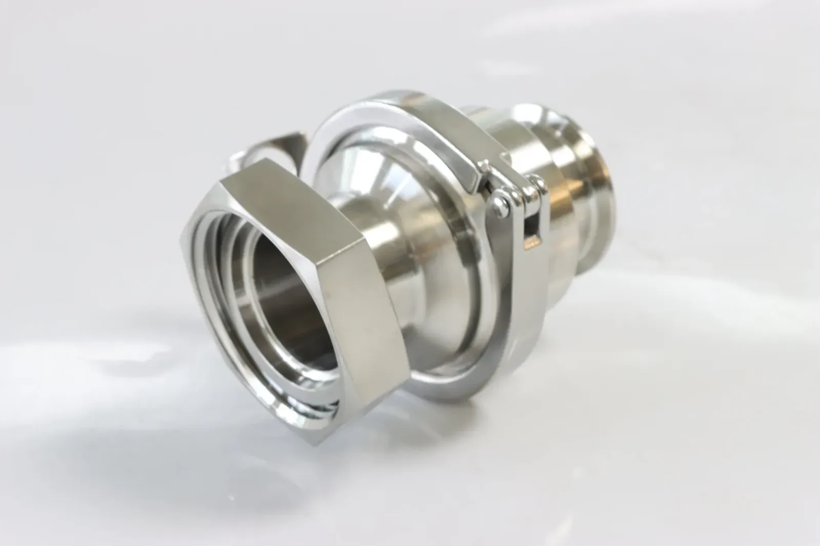 Sanitary Stainless Steel Union swing wafer Check Valve — 6/6