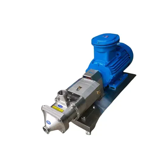 Stainless Steel Horizontal Double Mechanical Seal Screw Lobe Pump for Large Particles — 5/6