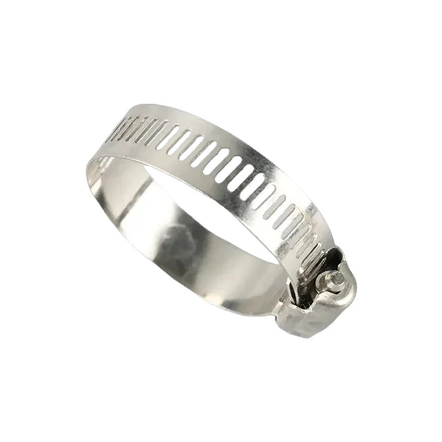 Sanitary Stainless Steel High-Torque Worm Gear Pipe Rim Fastener Clamp — 4/6