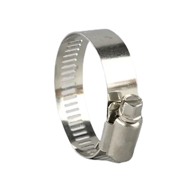 Sanitary Stainless Steel High-Torque Worm Gear Pipe Rim Fastener Clamp — 6/6