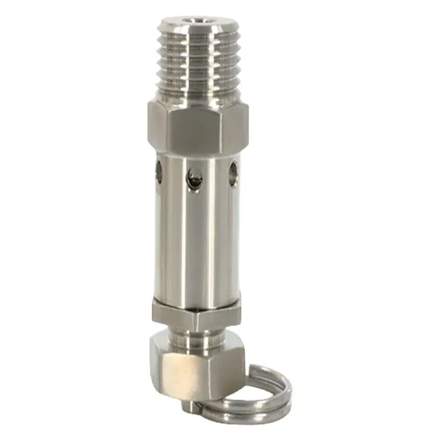 Sanitary Stainless Steel Male Thread Adjustable Air Release/Pressure Relief/Exhaust Safety Valve — 3/6