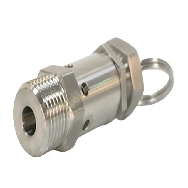 Sanitary Stainless Steel Male Thread Adjustable Air Release/Pressure Relief/Exhaust Safety Valve — 4/6